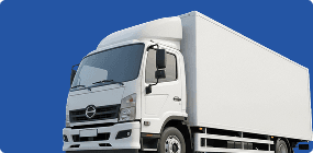 Sales & Warranty Policy